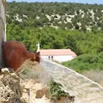 Aparthotel Thomas 3*