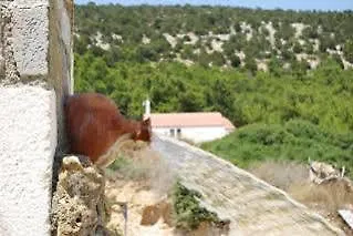 Aparthotel Thomas 3*